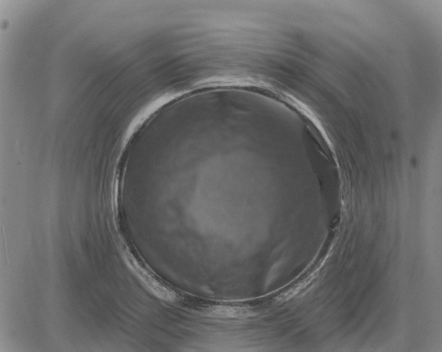 X0000080691179200612301442