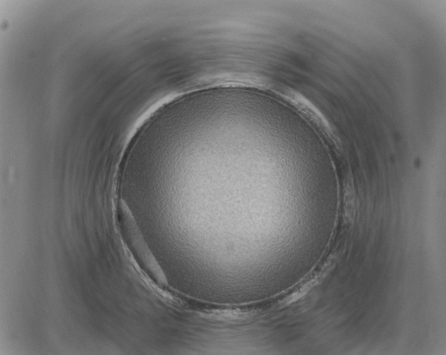 X0000080691182200612301442