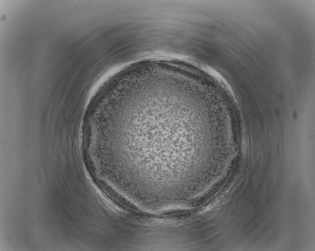 X0000080691183200612301442