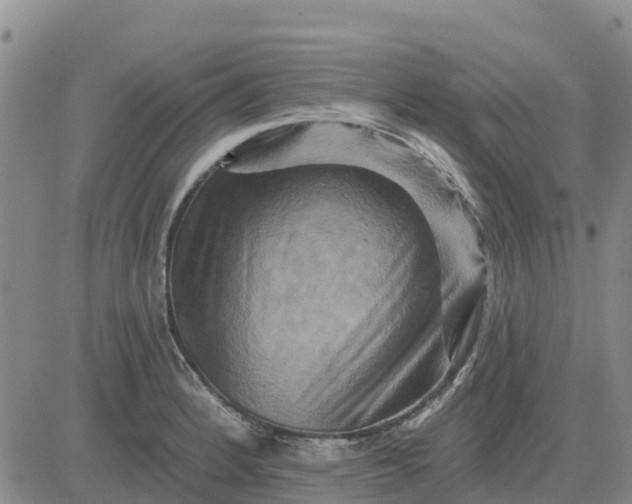 X0000080691184200612301442