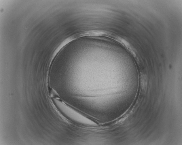 X0000080691186200612301442