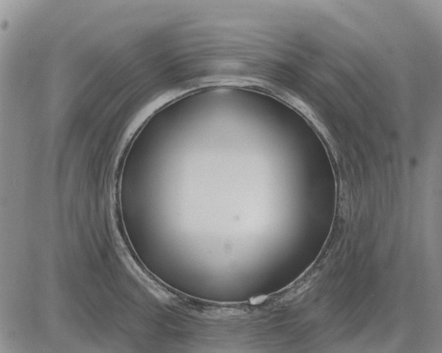 X0000080691187200612301442