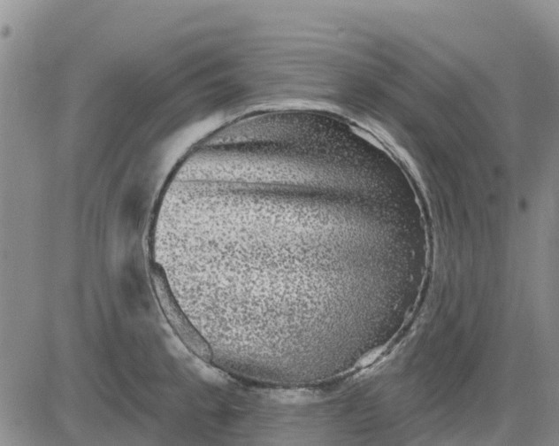 X0000080691189200612301442