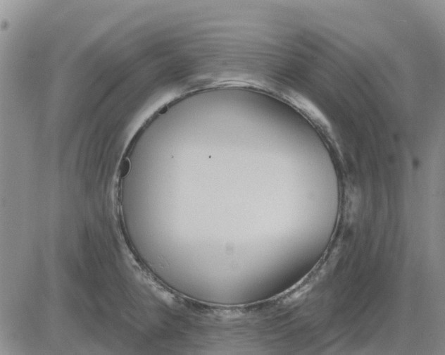 X0000080691190200612301442