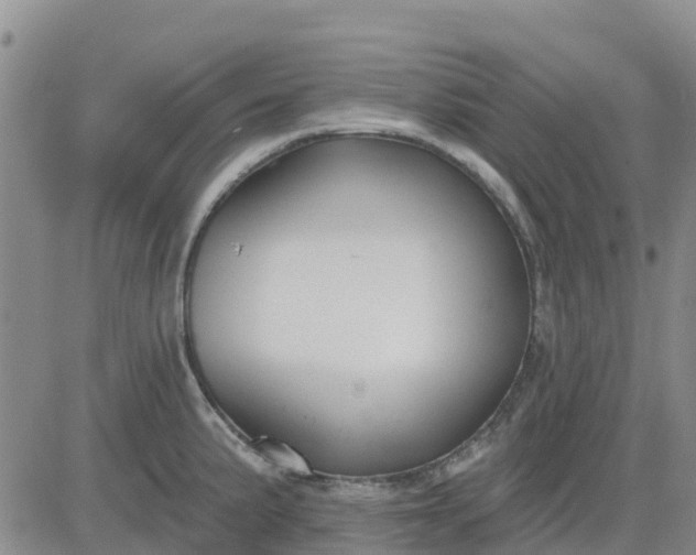 X0000080691191200612301442