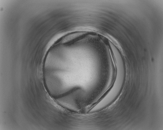 X0000080691192200612301442