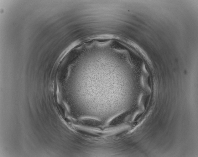 X0000080691193200612301442