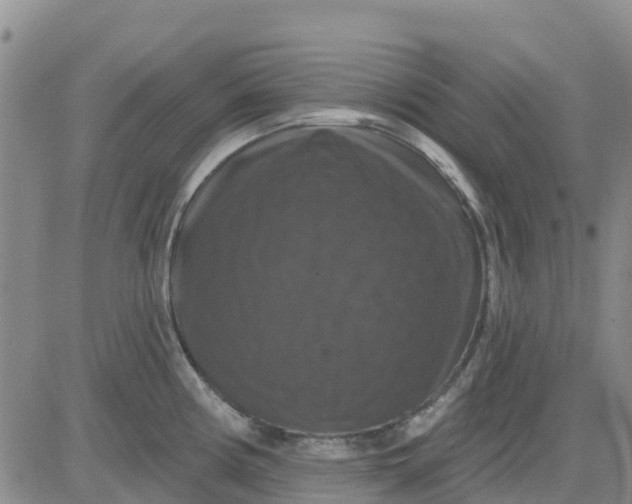 X0000080691194200612301442