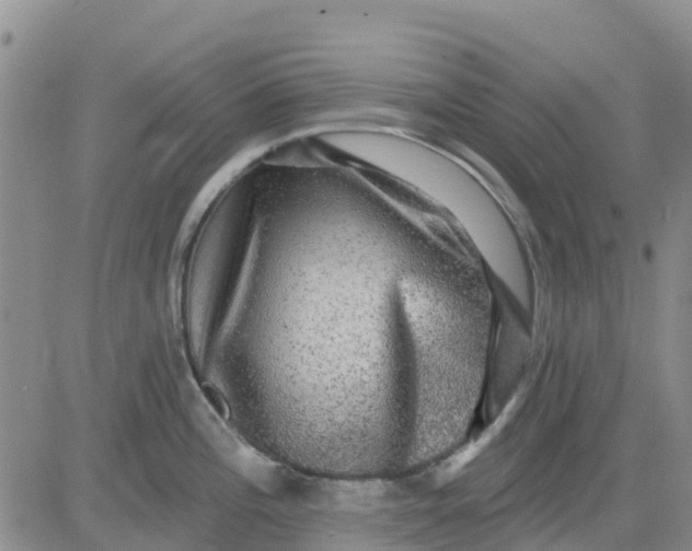 X0000080691196200612301442