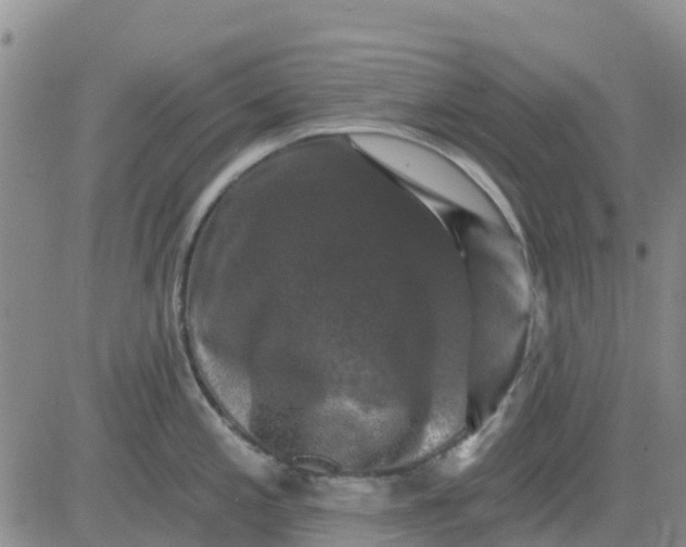 X0000080691197200612301442