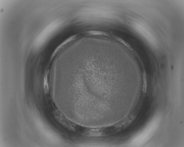 X0000080691198200612301442