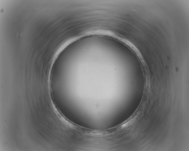 X0000080691199200612301442