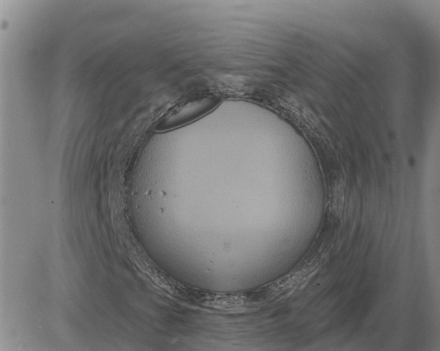 X0000080691201200612301441