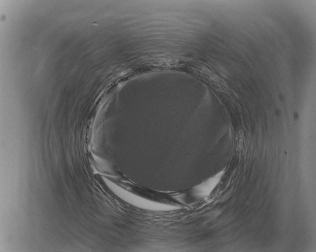 X0000080691202200612301441