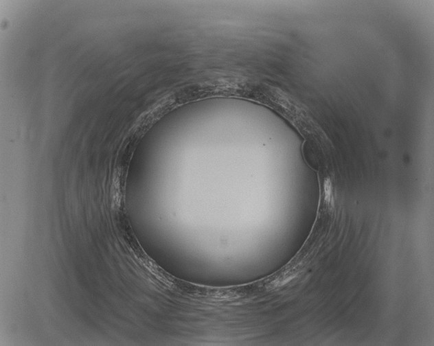 X0000080691203200612301441