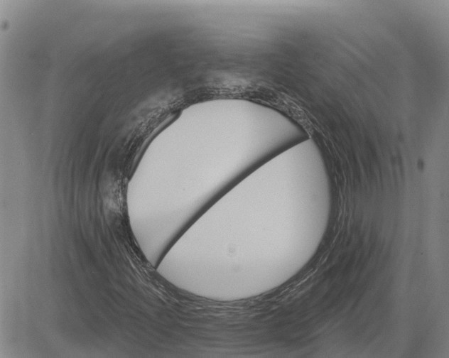 X0000080691204200612301441