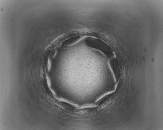 X0000080691205200612301441