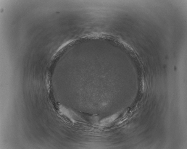 X0000080691206200612301441