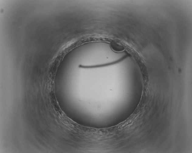 X0000080691207200612301441