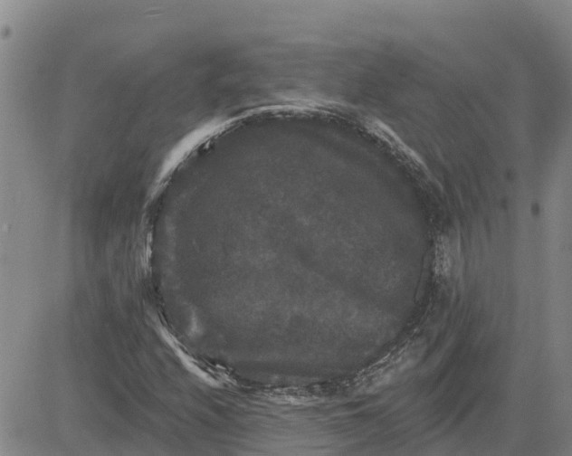 X0000080691208200612301441