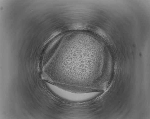 X0000080691209200612301441