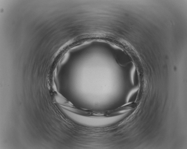 X0000080691210200612301441