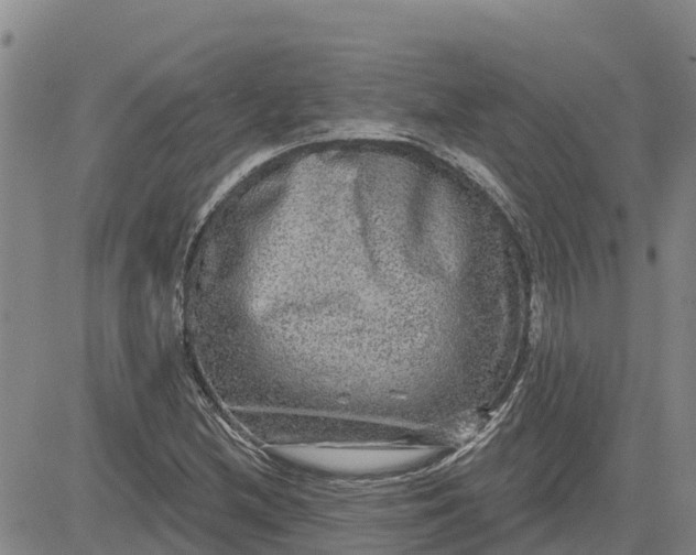 X0000080691212200612301441