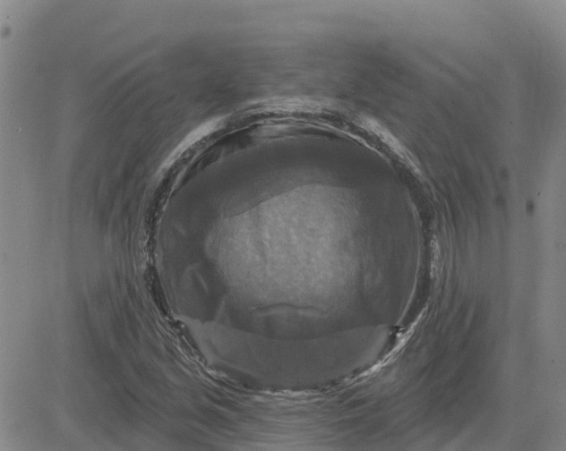 X0000080691213200612301441