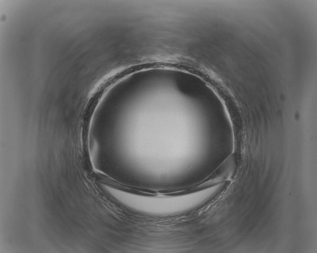 X0000080691214200612301441