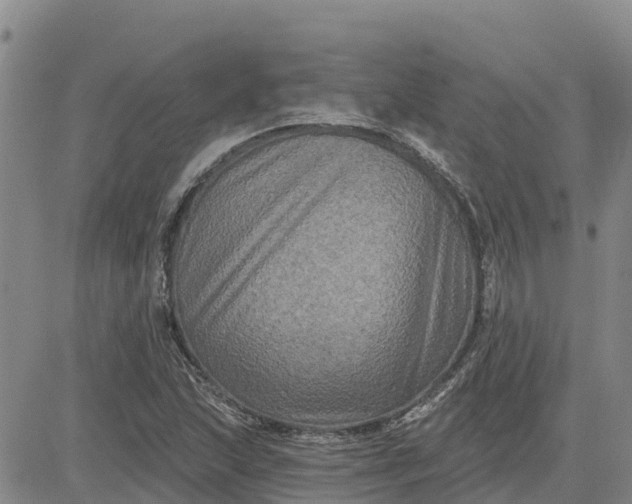 X0000080691215200612301441