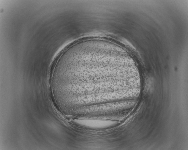 X0000080691216200612301441