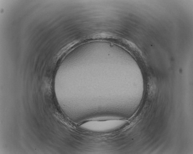 X0000080691217200612301441