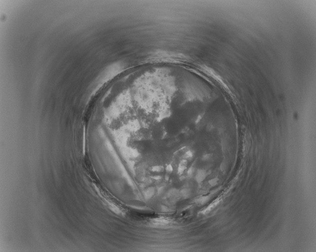 X0000080691219200612301441