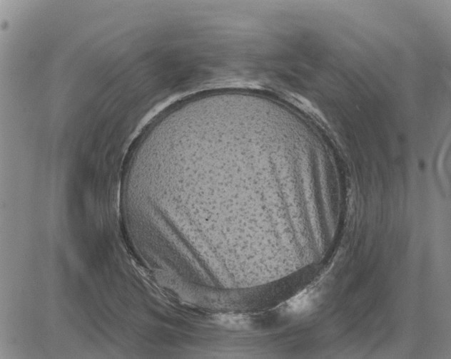 X0000080691220200612301441