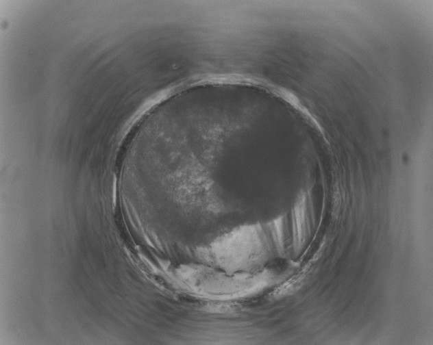 X0000080691221200612301441