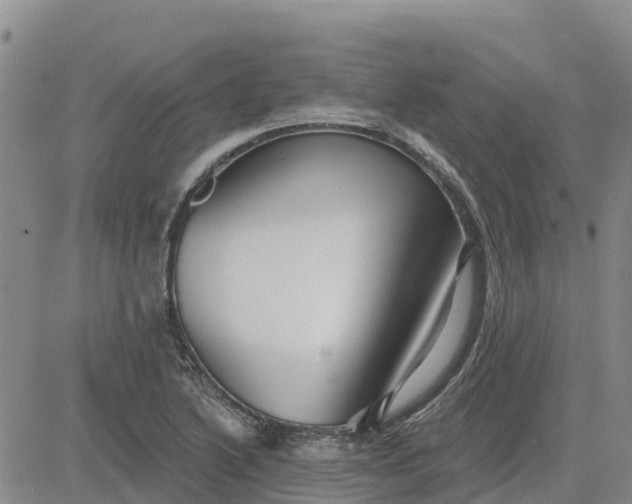 X0000080691222200612301441