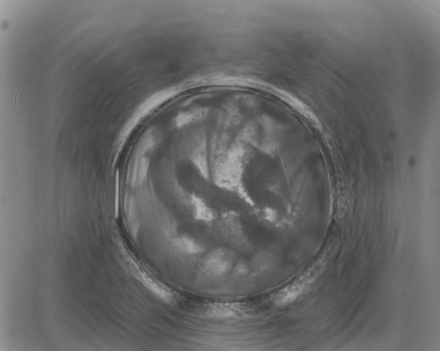 X0000080691223200612301441