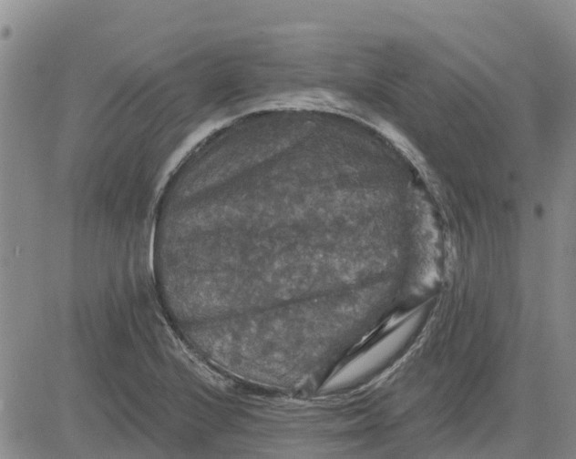 X0000080691224200612301441