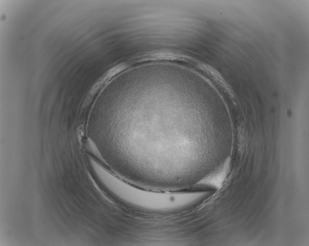 X0000080691225200612301441