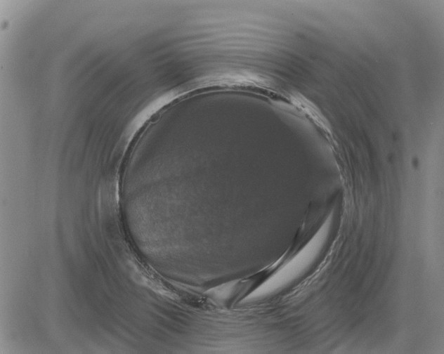 X0000080691226200612301441