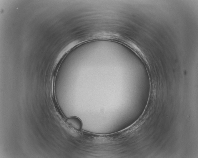 X0000080691227200612301441