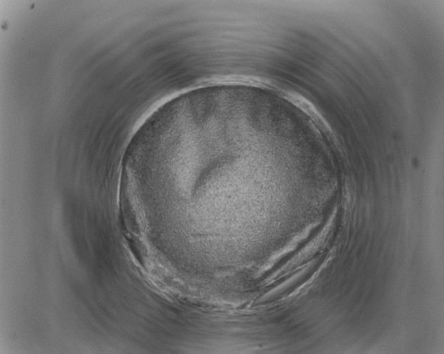 X0000080691228200612301441