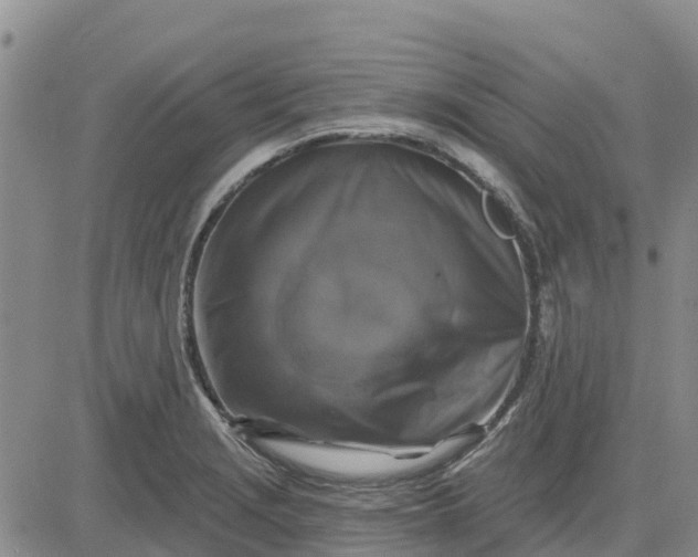 X0000080691229200612301441