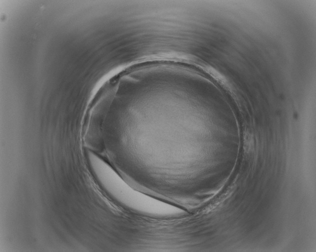 X0000080691230200612301441