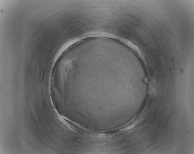 X0000080691231200612301441