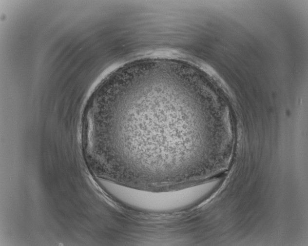 X0000080691232200612301441