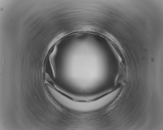 X0000080691234200612301441