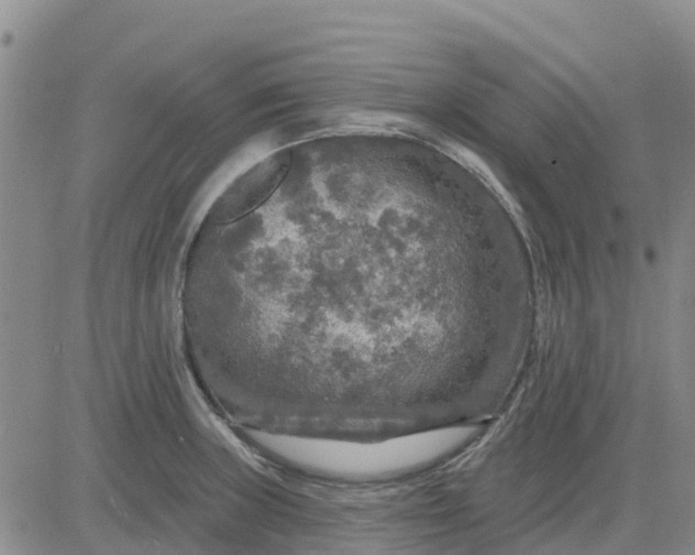 X0000080691235200612301441