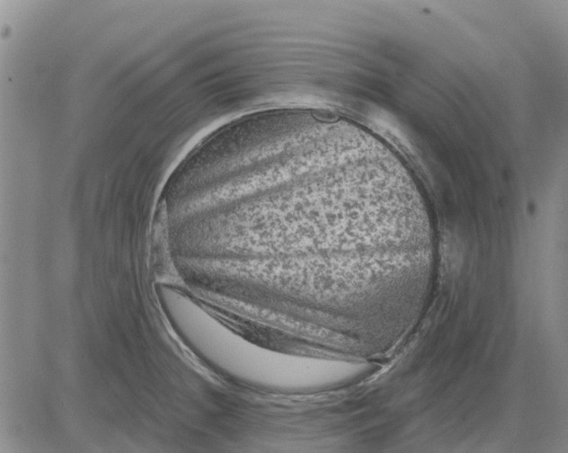 X0000080691236200612301441