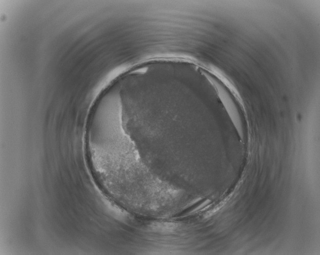 X0000080691237200612301441